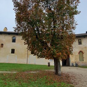 4220-7318%20-%20o%20vig%20castello%20-%20vigevano%20-%20ott%2023%20-%20y%202023-10-01%2019-29-10%2001.jpeg
