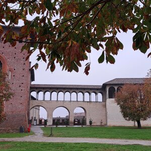 4229-2191%20-%20o%20vig%20castello%20-%20vigevano%20-%20ott%2024%20-%20a%202024-10-26%2010-54-31%2001.jpeg