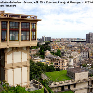 4233-0237%20-%20k%20asc%20belvedere%20-%20genova%20-%20apr%2025%20-%2002.jpeg