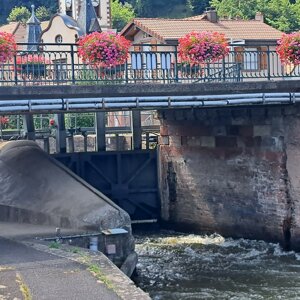 4231-1673%20-%20e%20con%20lutzelbourg%20paratoie%20ap%20-%20saverne%20(f)%20-%20ago%2025%20-%2001.jpeg