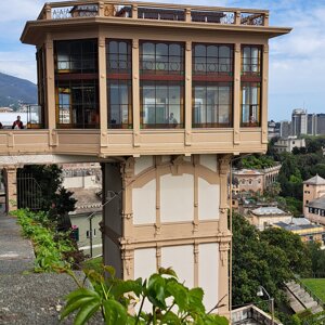 4233-0239%20-%20k%20asc%20belvedere%20-%20genova%20-%20apr%2025%20-%2003ts.jpeg