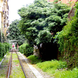 4233-0205%20-%20k%20fun%20sant'anna%20-%20genova%20-%20apr%2025%20-%2002s.jpeg