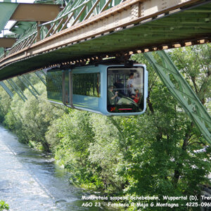 4225-0921%20-%20g%20met%20monorotaia%20schebebahn%20-%20wuppertal%20d%20-%20ago%2023%20-%2002ts.jpeg