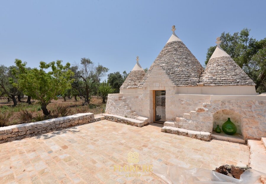 DIEGO FLORE REALTOR : agenzia Immobiliare Martina Franca Flore RE Group