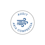 audit