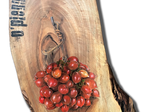 loghi2