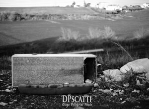 61091000_.jpeg 61091000_.jpeg