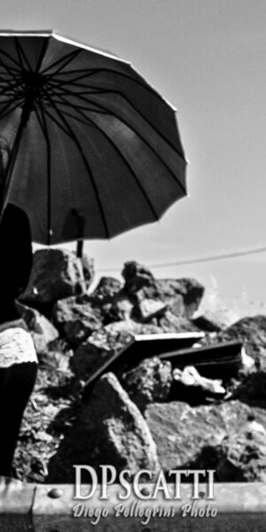 dpscatti_logo_trasparent