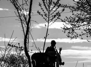 _dsc2949_.jpeg _dsc2949_.jpeg