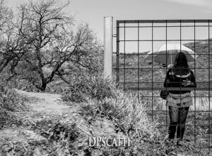 _dsc3397_bn_.jpeg _dsc3397_bn_.jpeg