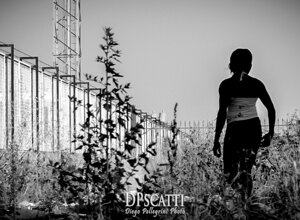 53551857_.jpeg 53551857_.jpeg