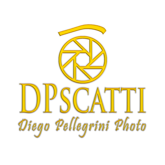 dpscatti_logo_trasparent