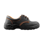 new-atlas-bassa-s1p-src