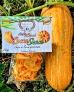zucca-snack