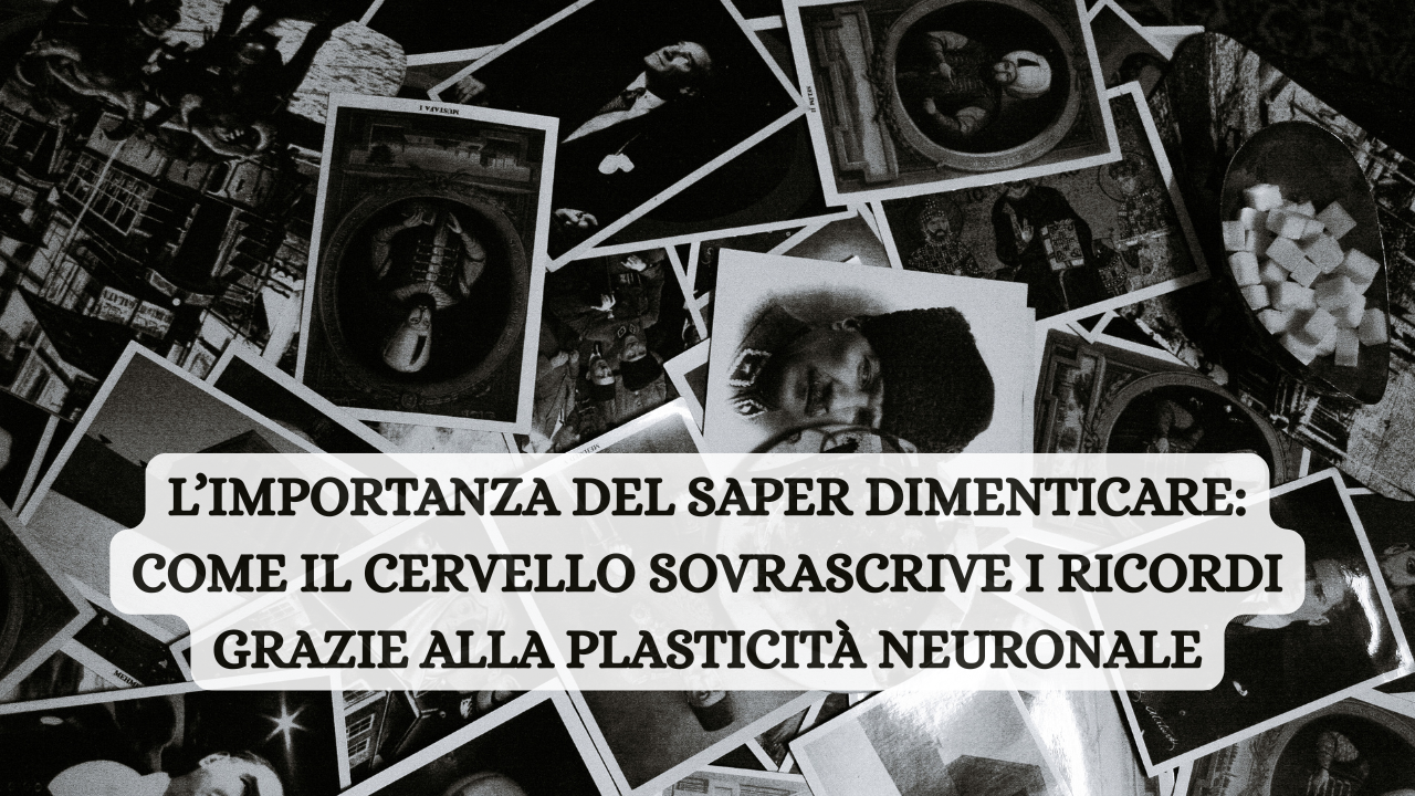 copia-di-copertina-piccole-donne-.png copia-di-copertina-piccole-donne-.png