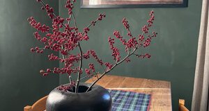 img_6153.jpeg img_6153.jpeg