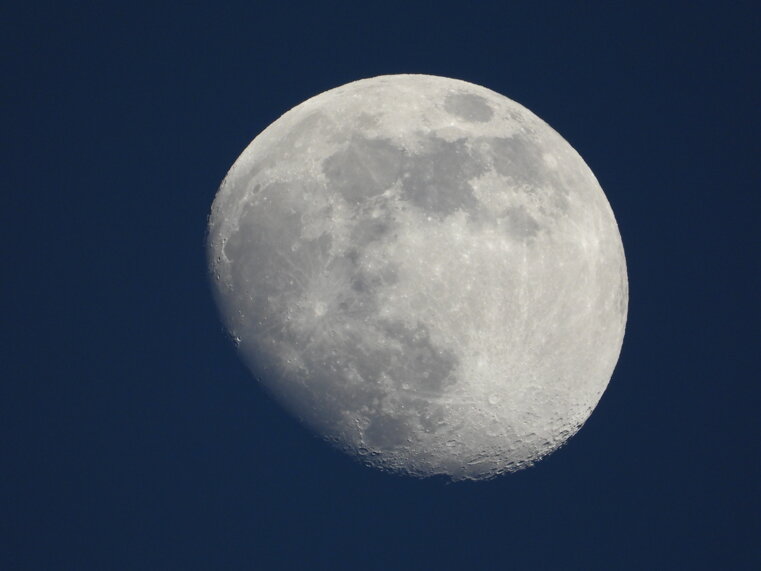 dscn0139.jpeg dscn0139.jpeg