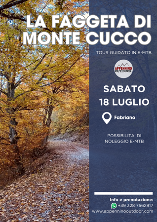 la faggeta di monte cucco