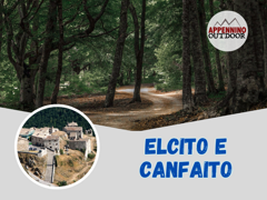 elcito e canfaito