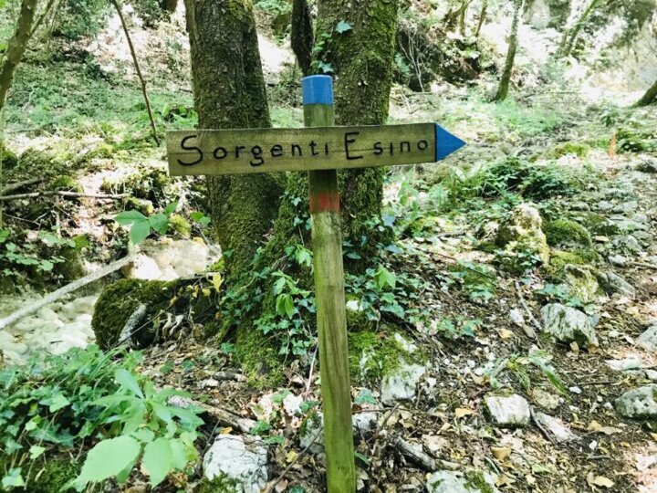 trekking-sorgenti-dellesino-1-768x576.jpeg