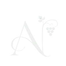 Logo del Dott. Alberto Niccolai