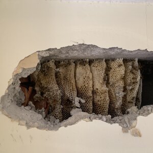 img_8427.jpeg img_8427.jpeg