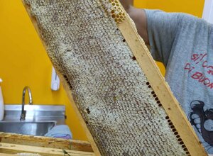 img_5534.jpeg img_5534.jpeg