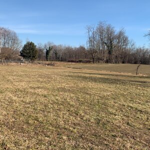 img_5720.jpeg img_5720.jpeg