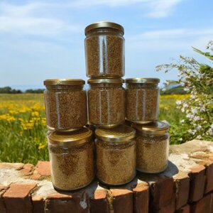 img_8136.jpeg img_8136.jpeg