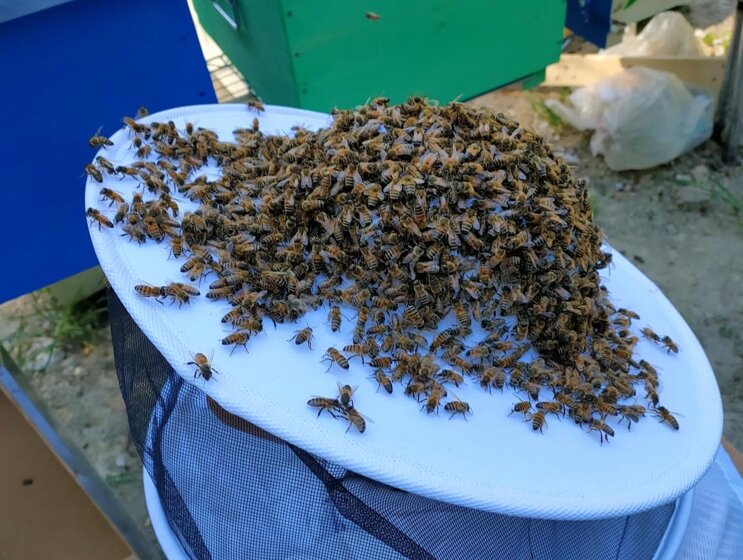 exce9274.jpeg exce9274.jpeg