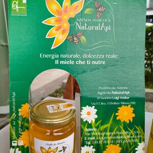 img_7930.jpeg img_7930.jpeg