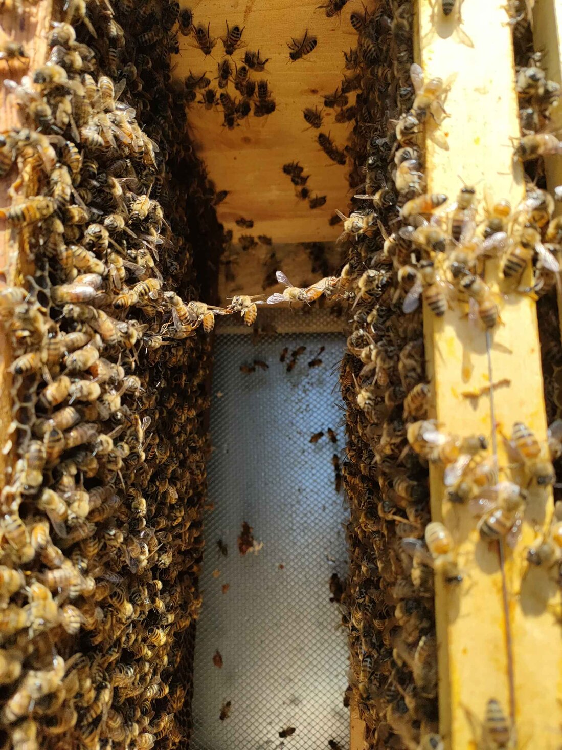 img20221107123504.jpeg img20221107123504.jpeg