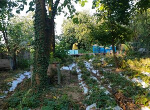 img_5537.jpeg img_5537.jpeg