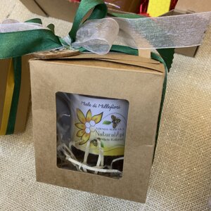 img_8029.jpeg img_8029.jpeg