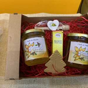 img_7927.jpeg img_7927.jpeg