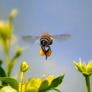 img_8228.jpeg img_8228.jpeg