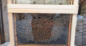 uohd1090.jpeg uohd1090.jpeg