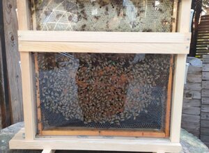 img_6511.jpeg img_6511.jpeg