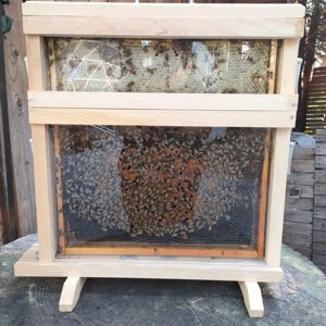 img_5531.jpeg img_5531.jpeg