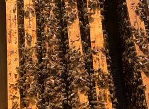 img20250702131523.jpeg img20250702131523.jpeg