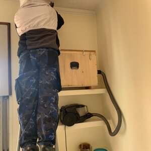 img_9518.jpeg img_9518.jpeg