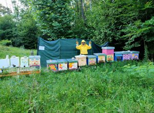 exce9274.jpeg exce9274.jpeg