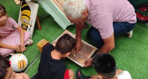 img_5533.jpeg img_5533.jpeg