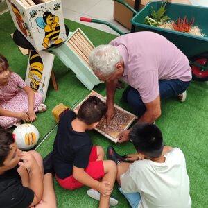 img_6511.jpeg img_6511.jpeg