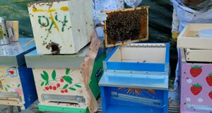 jufw3455.jpeg jufw3455.jpeg