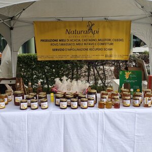 img_7922.jpeg img_7922.jpeg