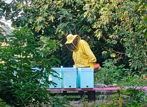 img20220709200221.jpeg img20220709200221.jpeg