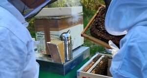 bjmz4591.jpeg bjmz4591.jpeg