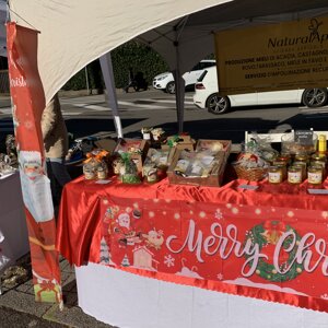 img_8231.jpeg img_8231.jpeg