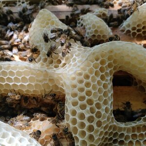 img_9769.jpeg img_9769.jpeg